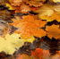 Выходные в Туле. 24-25 сентября 2016 года - ИА Тульские новости