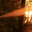 В Ясногорском районе одинокая престарелая женщина не смогла выбраться из горевшего дома - ИА Тульские новости