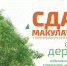 Туляки примут участие в акции "Спаси дерево!" - ИА Тульская пресса.Ru