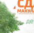Туляки могут сдать ненужную макулатуру в "Родину" - ИА Тульская пресса.Ru