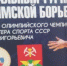 Греко-римляне разыграли призы в Новомосковске - ИА Тульская служба новостей