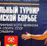 В Новомосковске прошёл межрегиональный юношеский турнир по греко-римской борьбе на призы двукратного Олимпийского чемпиона Валерия Резанцева - Тульские СМИ
