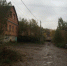 Вынесено решение о сносе цыганского самостроя в Яснополянском лесничестве - ИА Тульская пресса.Ru
