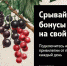 . - Комсомольская Правда