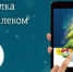 Больше 100 000 цифровых ёлок помог вырастить «Ростелеком» - ИА Тульская пресса.Ru