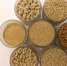 В тульской ветеринарной клинике с нарушениями хранили корма для животных - ИА Тульская служба новостей