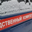 В Скуратово рядом с Детской школой искусств нашли труп пропавшей без вести женщины - ИА Тульские новости