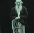 Tolstoy Weekend пройдет в Тульской области с 9 по 11 июня - ИА Тульская пресса.Ru