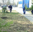 В Туле посадили аллею в честь пуска первого троллейбуса - Тульские Известия