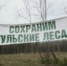 В Тульской области прошла масштабная общественная акция по посадке 11 тысяч сеянцев сосны - Рослесозащита ЦЗЛ Тульской области