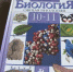 Тульский школьник выступит на международной олимпиаде по биологии - Тульские Известия