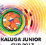 Администрация: на участие в турнире по футболу Kaluga Junior Cup  спортшкола "Арсенала" выезда не оформляла - ИА Тульские новости