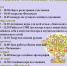 В Туле пройдет фестиваль «Семейные традиции» - Myslo.Ru