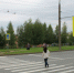 В Веневском районе обустроят пешеходные переходы - ИА Тульская служба новостей
