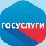 Виджеты госуслуг будут размещены в негосударственных информационных системах - Газета Тула