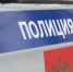 Мужчина в Щёкинском районе украл игрушку - ИА Тульские новости