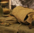 В Туле состоялся патриотический форум «Государство. Молодежь. Армия» - Администрация г. Тула
