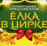 На новогодних елках в Тульском цирке выступит дрессированный носорог - ИА Тульская пресса.Ru
