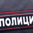 В Новомосковске полицейский подстрелил собаку, покусавшую людей - ИА Тульская служба новостей