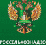 Ясногорское охотхозяйство кормило зверей непроверенным мясом - ИА Тульская пресса.Ru