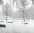 Каждую субботу и воскресенье в ЦПКиО им. П. П. Белоусова детей приглашает «Дом сказки» - MegaTula.Ru