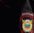 Туляк будет 8 месяцев отрабатывать мат в адрес полицейских - ИА Тульские новости
