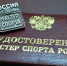 Шесть тульских спортсменов стали мастерами спорта - ИА Тульские новости