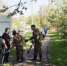 В Туле ведется борьба с борщевиком Сосновского - Администрация г. Тула