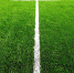 В Туле появится футбольное поле, рекомендованное FIFA - ИА Тульские новости