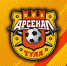 Где и когда тульский «Арсенал» сыграет первые матчи - ИА Тульские новости