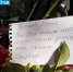 Люди со всего города несут цветы и записки к месту трагедии. Фото: Inside Donetsk - Комсомольская Правда