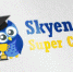 Осенняя онлайн-олимпиада по английскому языку Skyeng Super Cup пройдет при поддержке компании «Ростелеком» - Газета Тула