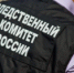Следователями Плавского МРСО устанавливаются обстоятельства безвестного исчезновения 8-летнего мальчика в деревне Белино Чернского района Тульской области - Следственный комитет
