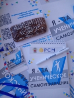 Тульские школьники – финалисты Всероссийской программы «Ученическое самоуправление»