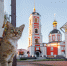 Фотограф Илья Гарбузов путешествует с фотоаппаратом по святым местам - ИА Тульские новости