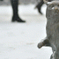 Погода в Туле 25 января: -14° и высокое давление - Центр 71