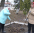 Первый весенний субботник в Волово - Тульские СМИ