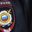 Полицейского сбили в лесополосе в Киреевском районе - Тульские Известия