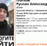 Волонтеры ищут молодого мужчину, пропавшего в Новомосковске - Газета Тула