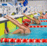 Донские пловцы в десятке сильнейших - Тульские СМИ