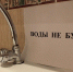 Жителям Плавска советуют запастить водой - Тульские СМИ