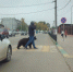 По Веневу гуляет мужчина с медведем - Тульские СМИ