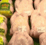 Тульская область будет поставлять продукты в Китай - ГТРК