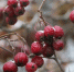 Предзимье придёт в Тульскую область с 17 октября - Молодой Коммунар