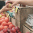 В Тульской области забраковали около 200 кг продуктов - Тульские Известия