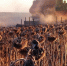 Чернские аграрии достойно завершили уборочную - Тульские СМИ