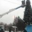 В Теплом установили главную новогоднюю елку района - Тульские СМИ