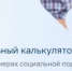 «Социальный калькулятор» поможет тулякам узнать о мерах соцподдержки - Тульские Известия