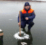 Туляков предупреждают: будьте осторожны на водоемах! - Газета Тула