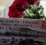 В Туле продолжают вручать юбилейные медали ветеранам Великой Отечественной войны - Администрация г. Тула